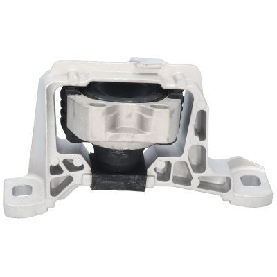 Variklio montavimas BIRTH 52866