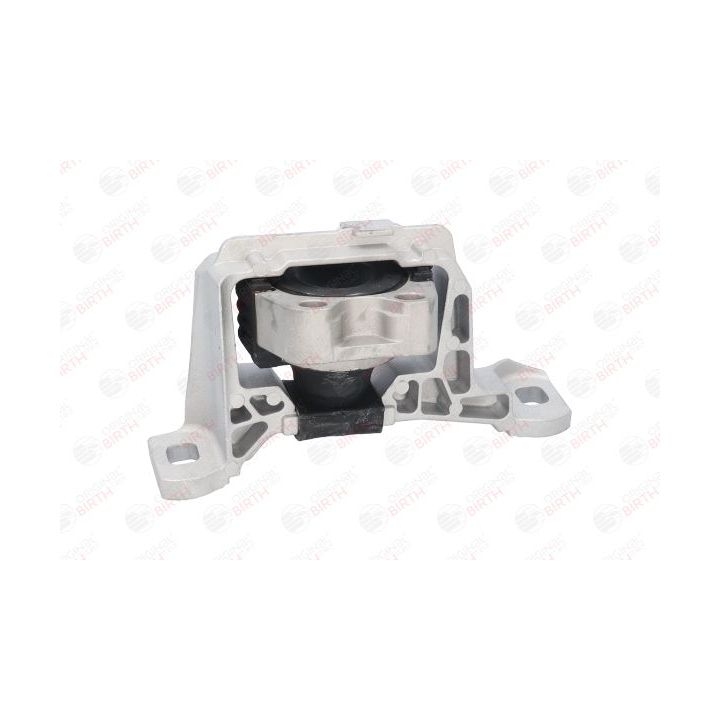 Variklio montavimas BIRTH 52866