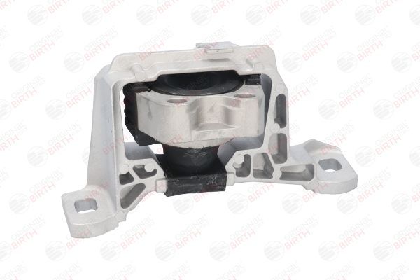 Variklio montavimas BIRTH 52866