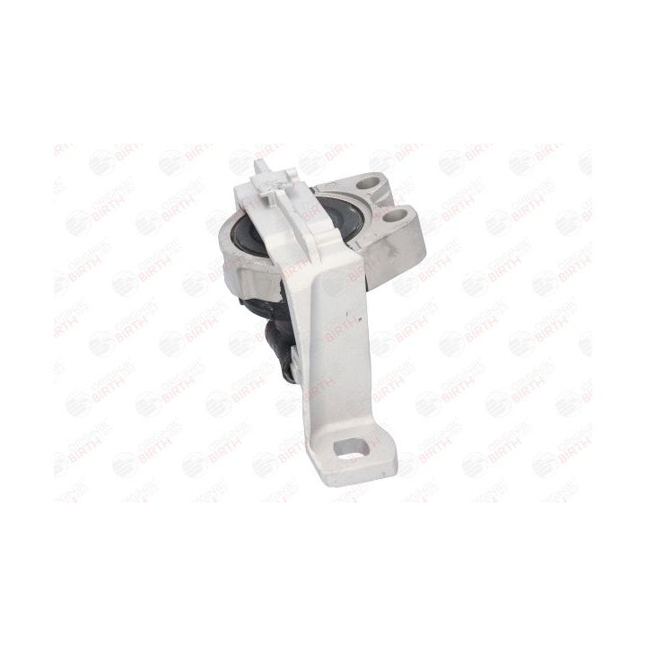 Variklio montavimas BIRTH 52866