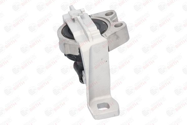 Variklio montavimas BIRTH 52866