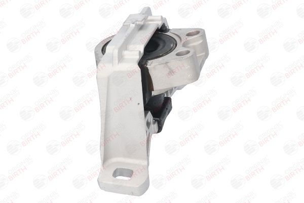 Variklio montavimas BIRTH 52866