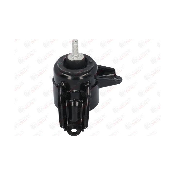 Variklio montavimas BIRTH 52868