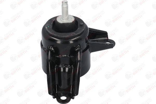 Variklio montavimas BIRTH 52868