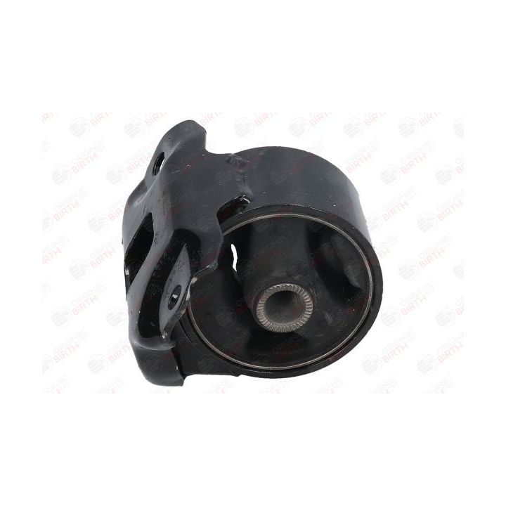 Variklio montavimas BIRTH 52870