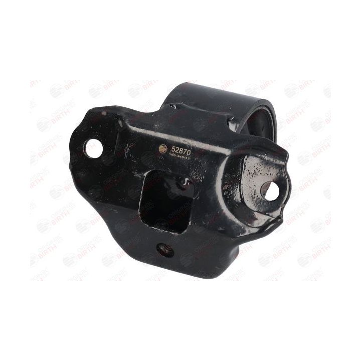 Variklio montavimas BIRTH 52870