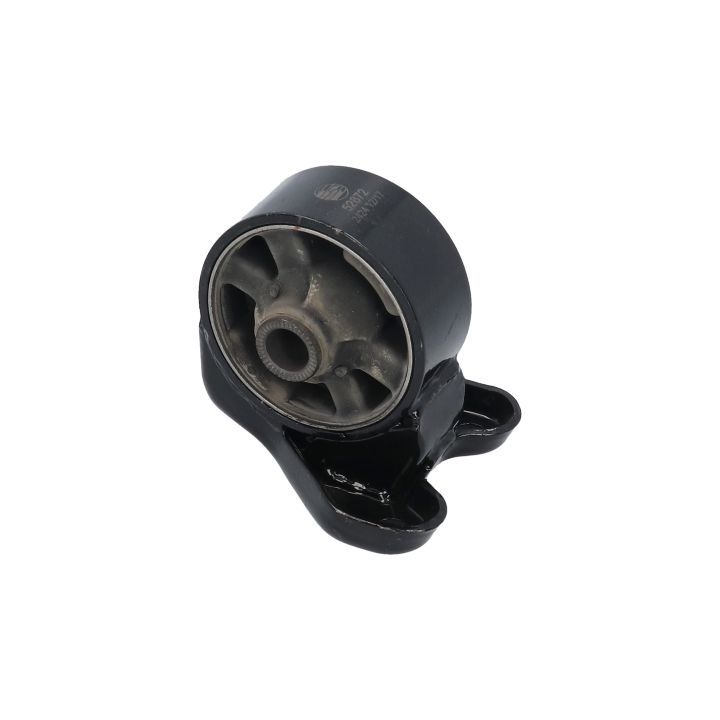 Variklio montavimas BIRTH 52872