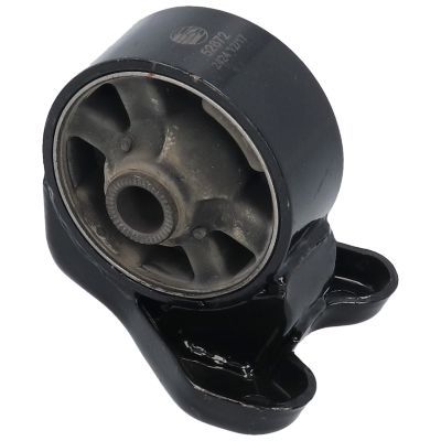 Variklio montavimas BIRTH 52872