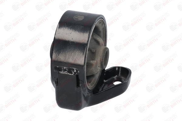 Variklio montavimas BIRTH 52872