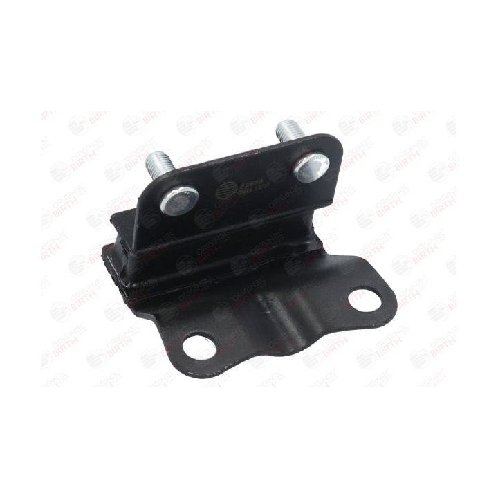 Variklio montavimas BIRTH 52879