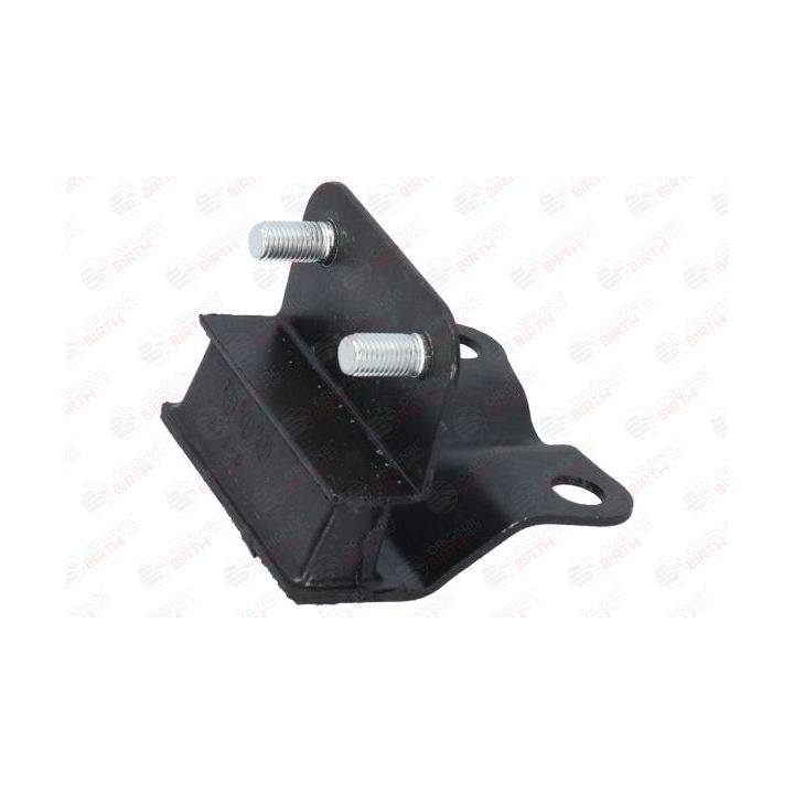 Variklio montavimas BIRTH 52879