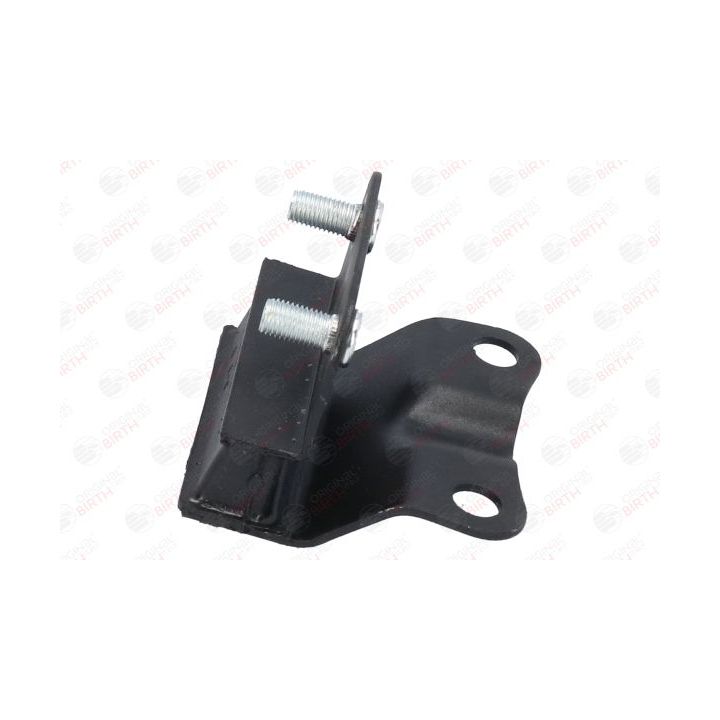 Variklio montavimas BIRTH 52879