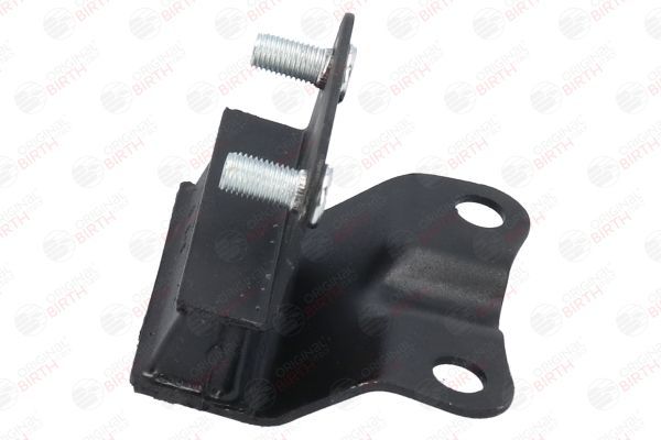 Variklio montavimas BIRTH 52879