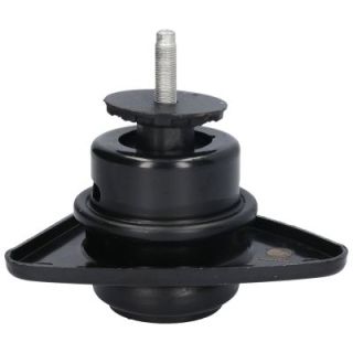 Variklio montavimas BIRTH 52887