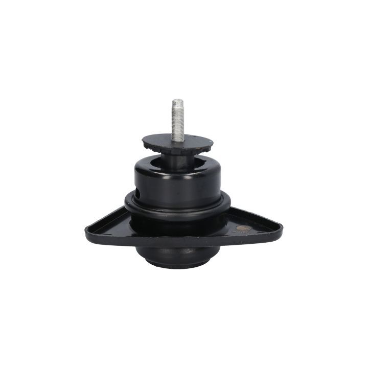 Variklio montavimas BIRTH 52887