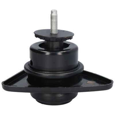 Variklio montavimas BIRTH 52887