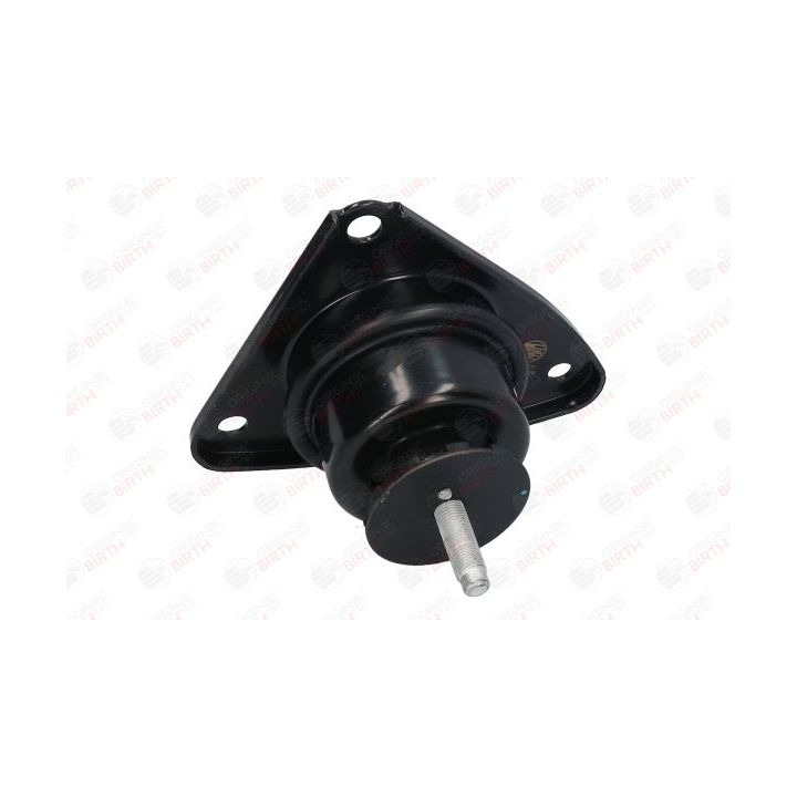 Variklio montavimas BIRTH 52887