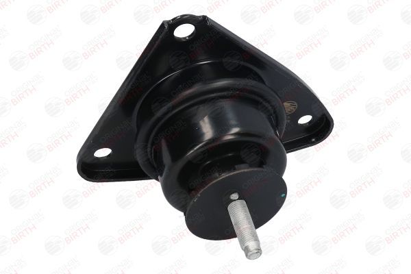 Variklio montavimas BIRTH 52887