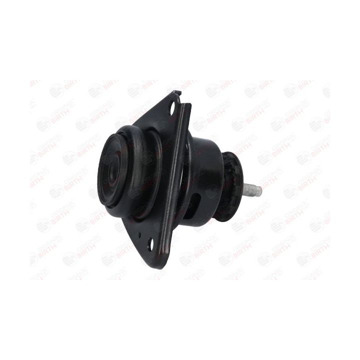 Variklio montavimas BIRTH 52887