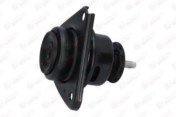 Variklio montavimas BIRTH 52887