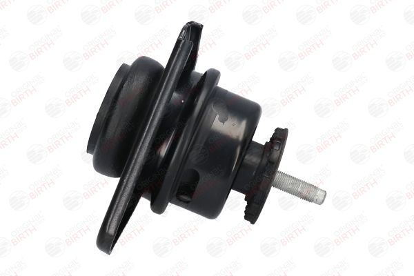 Variklio montavimas BIRTH 52887