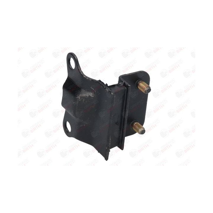 Variklio montavimas BIRTH 52892