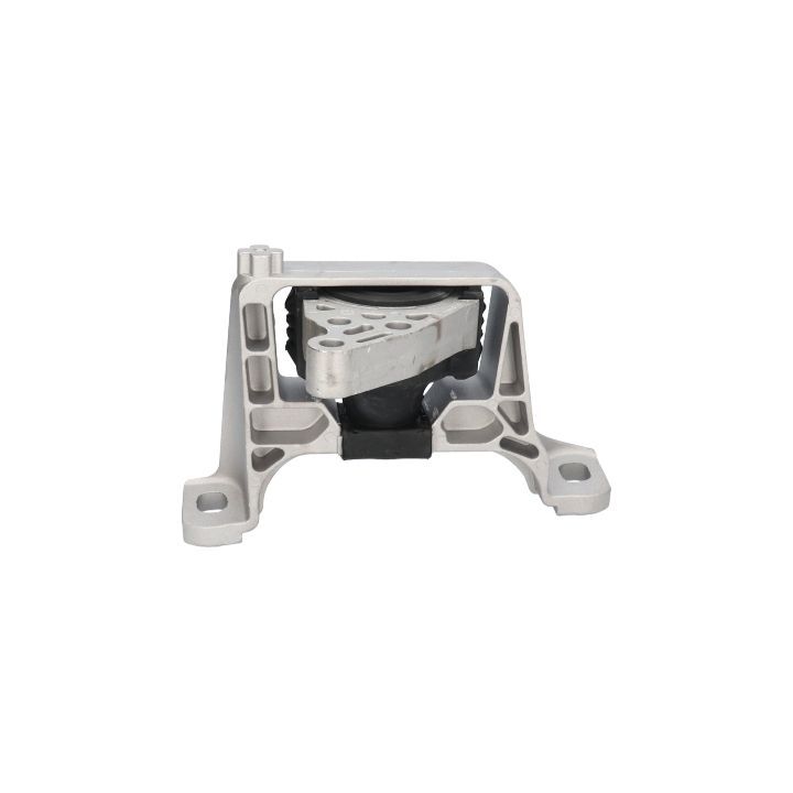 Variklio montavimas BIRTH 52893