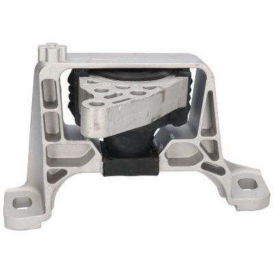 Variklio montavimas BIRTH 52893