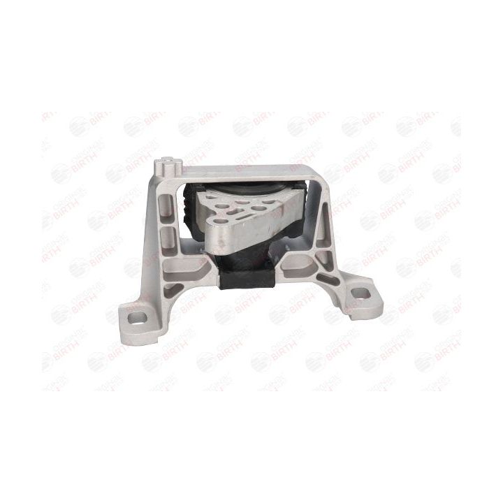 Variklio montavimas BIRTH 52893