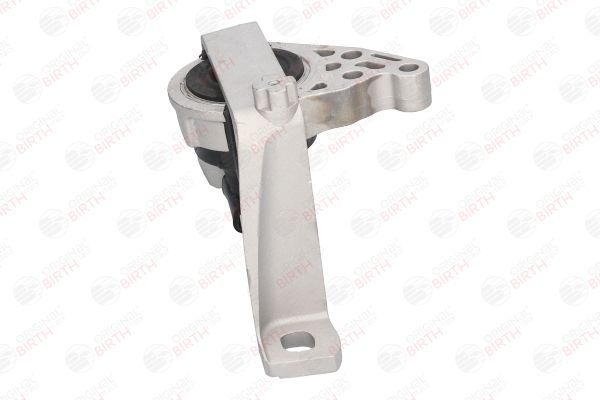 Variklio montavimas BIRTH 52893