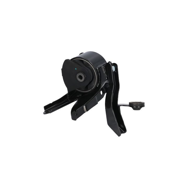 Variklio montavimas BIRTH 52906