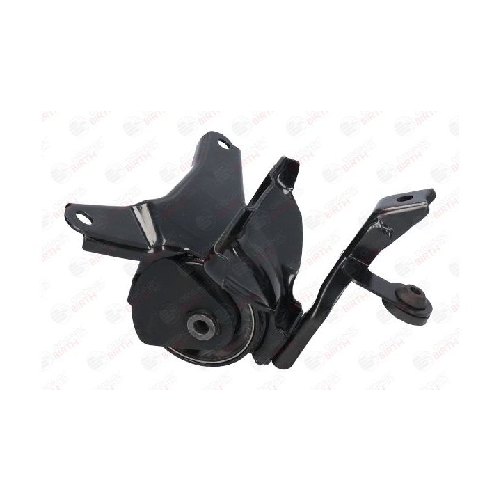 Variklio montavimas BIRTH 52906