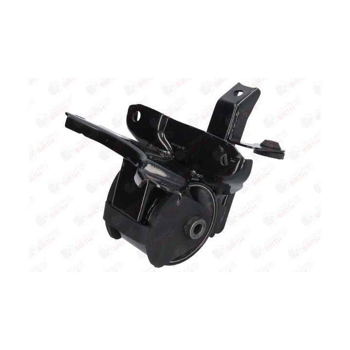 Variklio montavimas BIRTH 52906