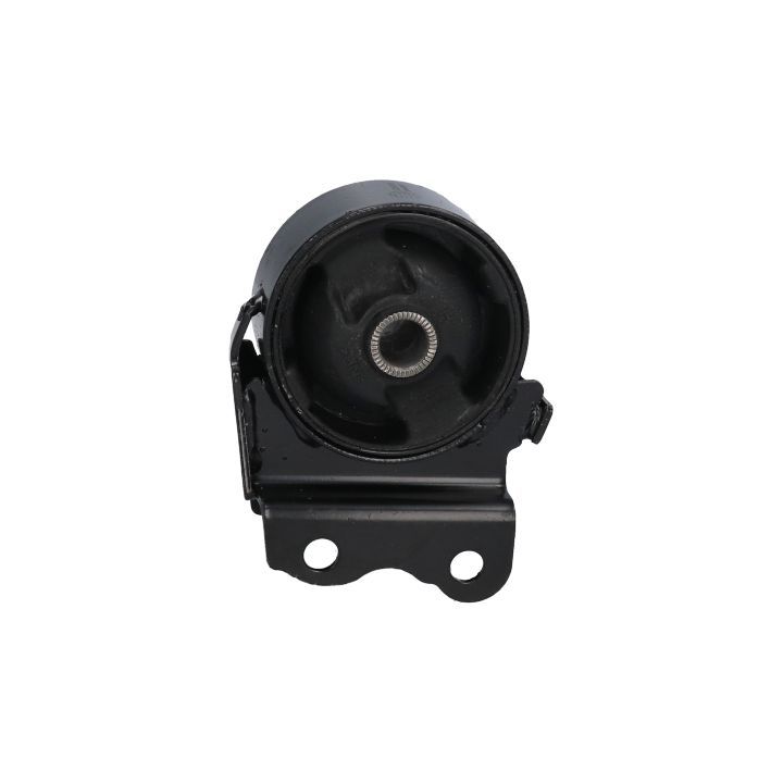 Variklio montavimas BIRTH 52909