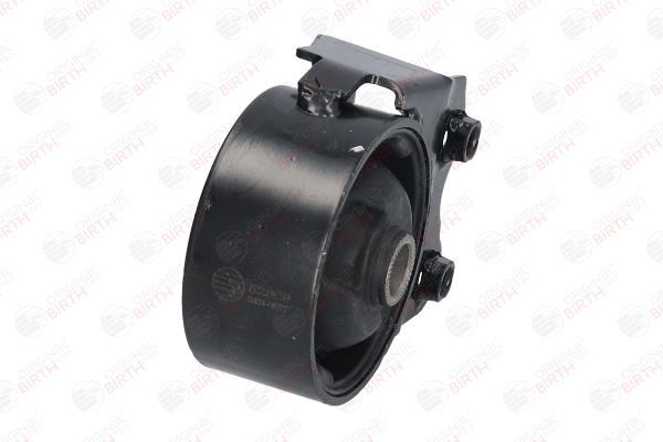 Variklio montavimas BIRTH 52909