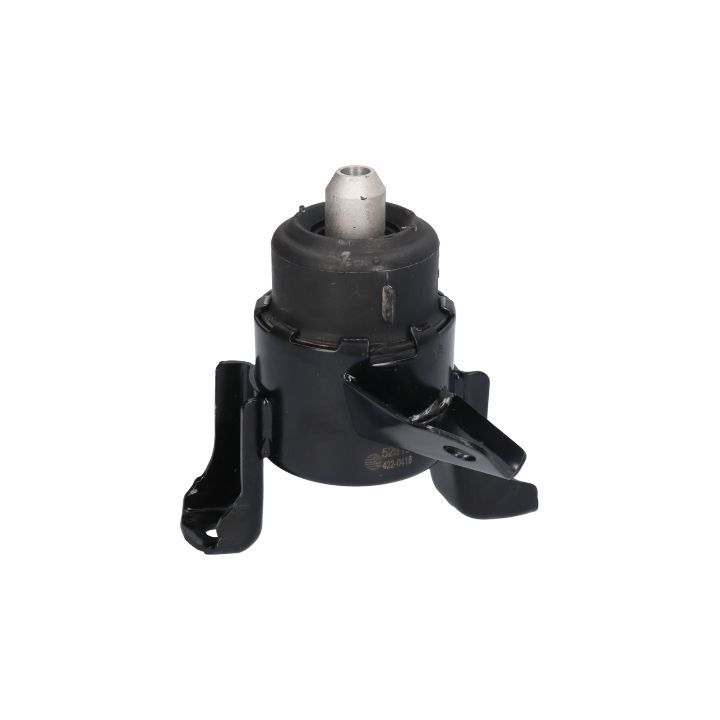 Variklio montavimas BIRTH 52910