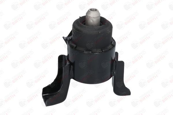 Variklio montavimas BIRTH 52910