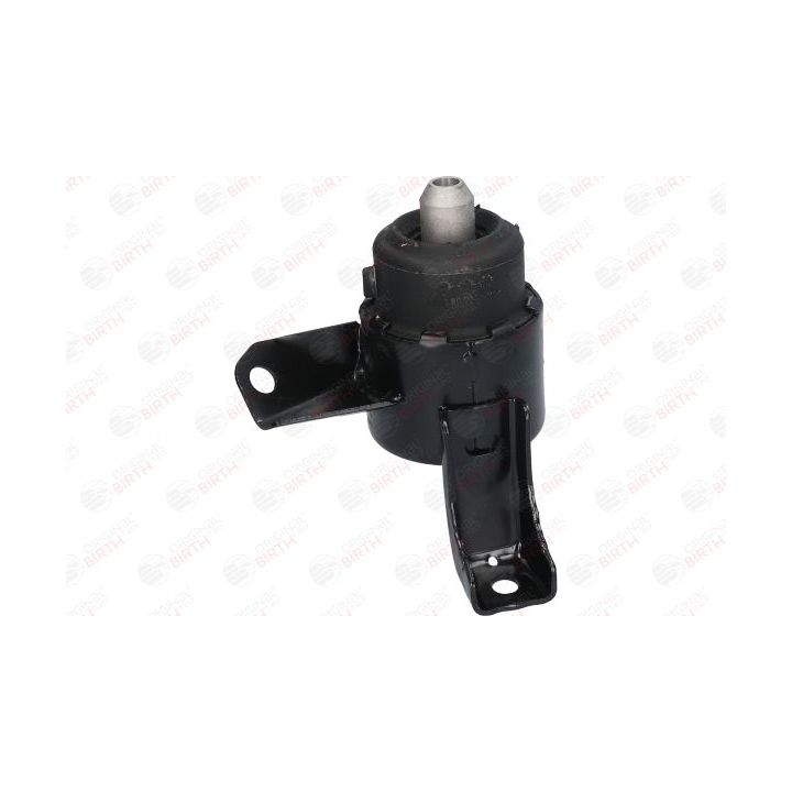 Variklio montavimas BIRTH 52910