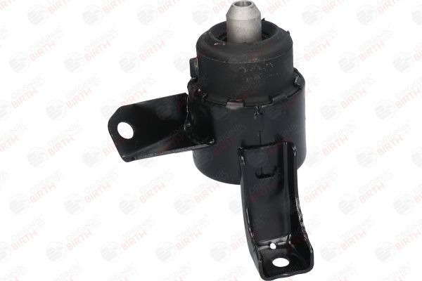 Variklio montavimas BIRTH 52910