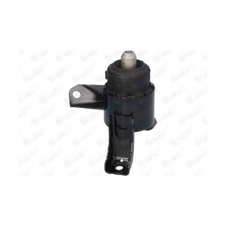 Variklio montavimas BIRTH 52910