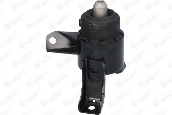 Variklio montavimas BIRTH 52910