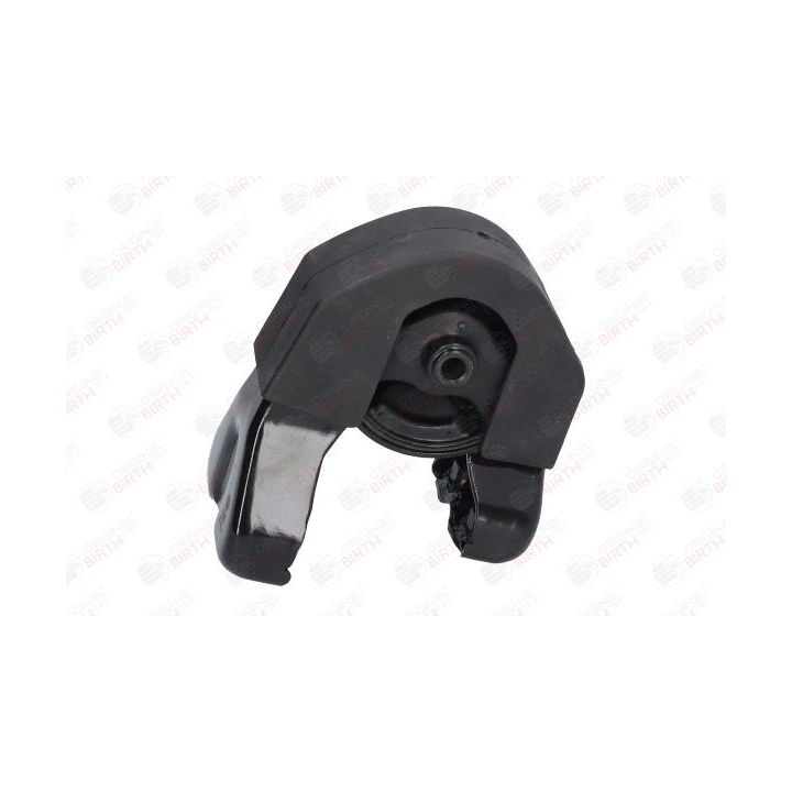 Variklio montavimas BIRTH 52918