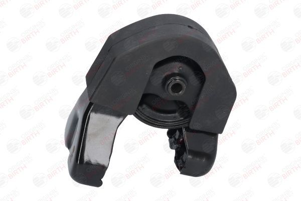 Variklio montavimas BIRTH 52918