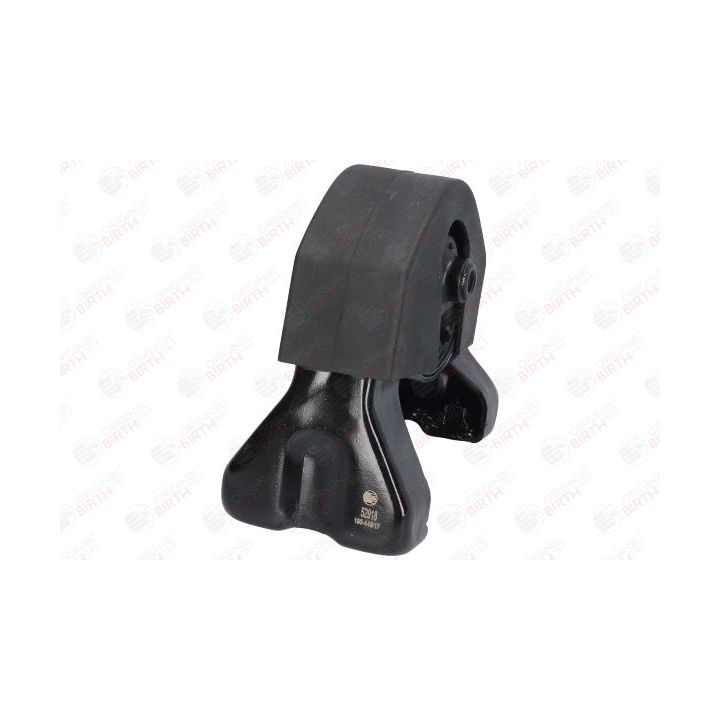 Variklio montavimas BIRTH 52918