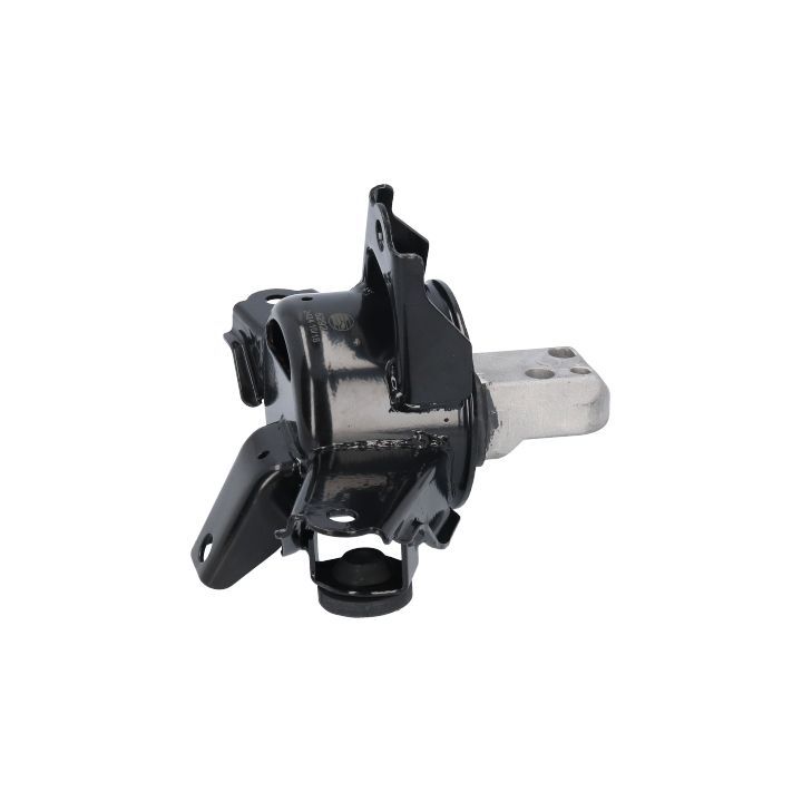 Variklio montavimas BIRTH 52921