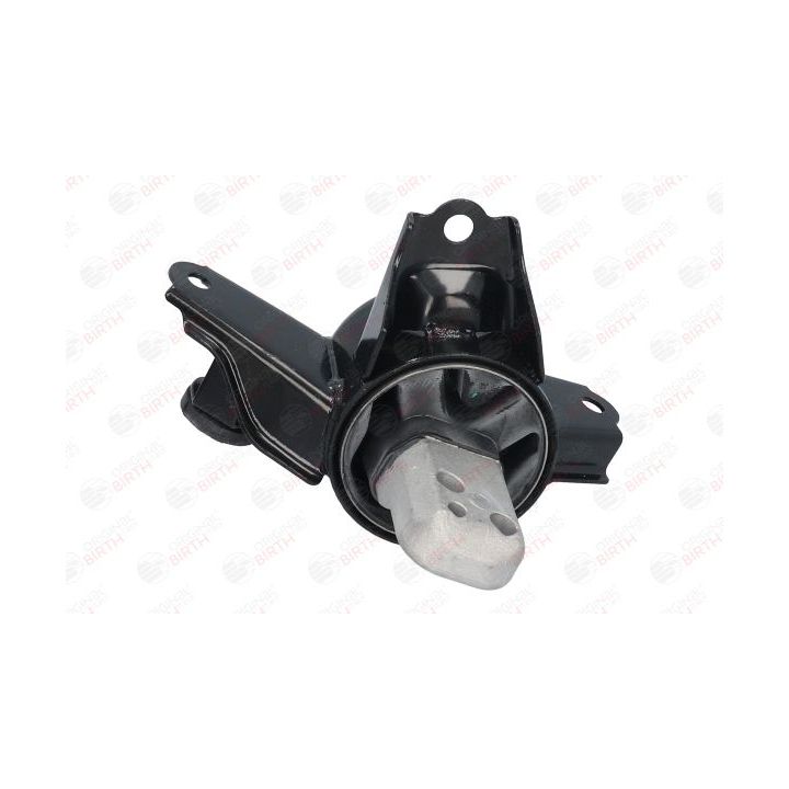 Variklio montavimas BIRTH 52921