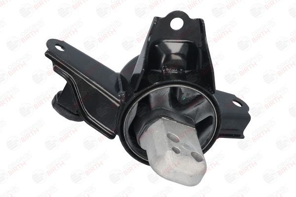 Variklio montavimas BIRTH 52921