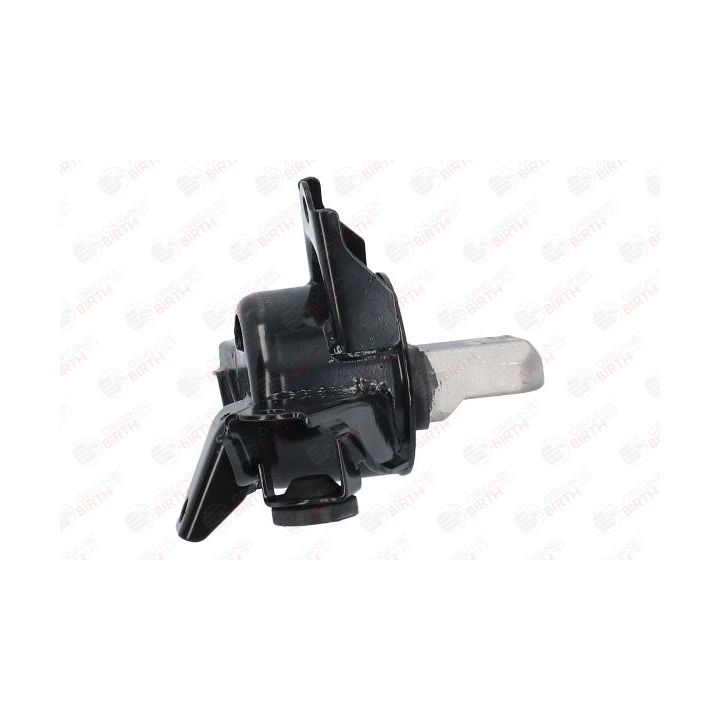 Variklio montavimas BIRTH 52921