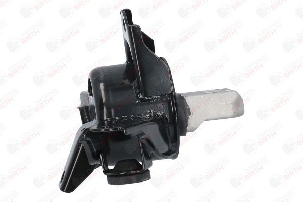 Variklio montavimas BIRTH 52921