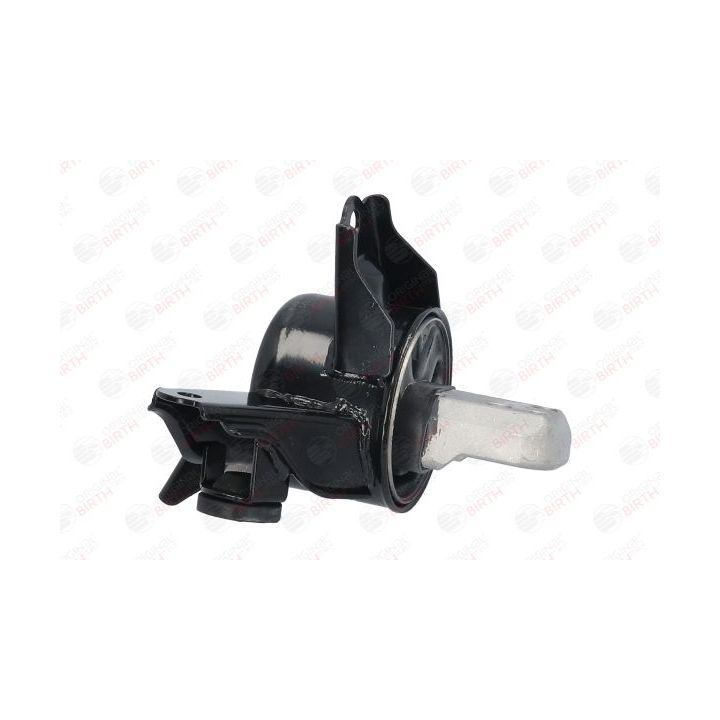 Variklio montavimas BIRTH 52921